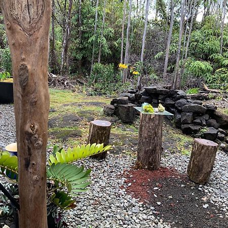 Exotic Garden Cottage At Amazing Volcano Fissure Mountain View エクステリア 写真