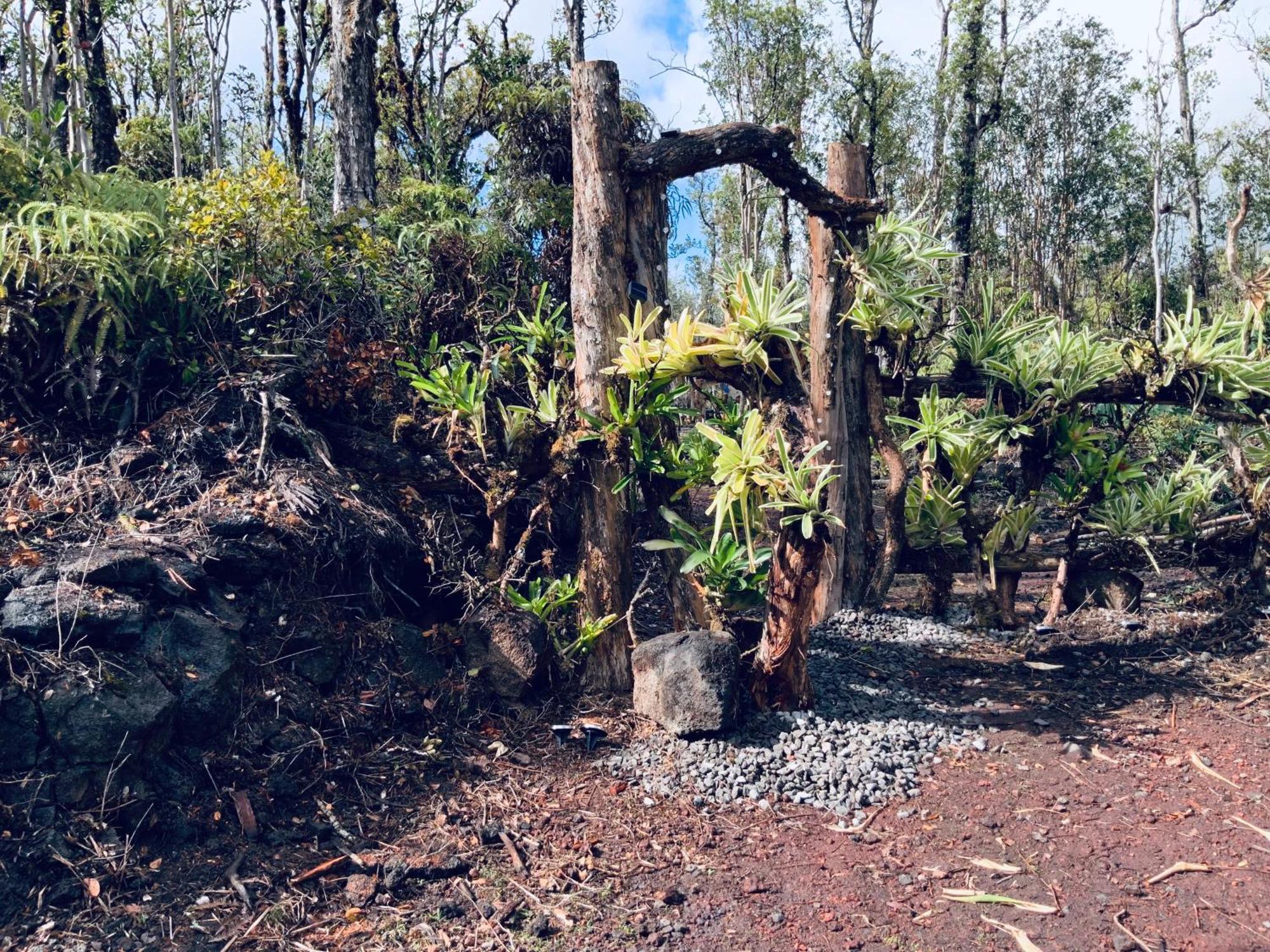Exotic Garden Cottage At Amazing Volcano Fissure Mountain View エクステリア 写真