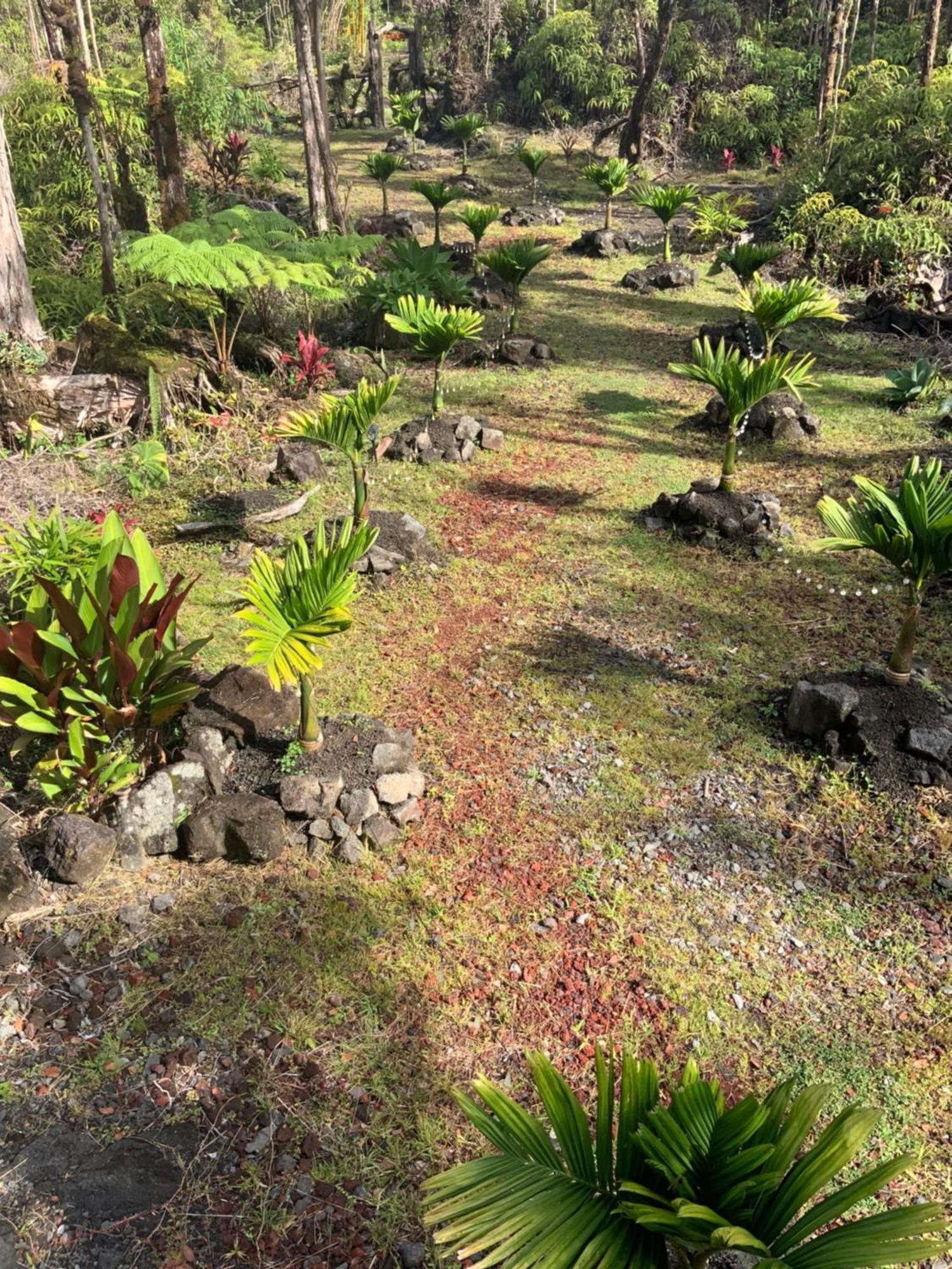 Exotic Garden Cottage At Amazing Volcano Fissure Mountain View エクステリア 写真
