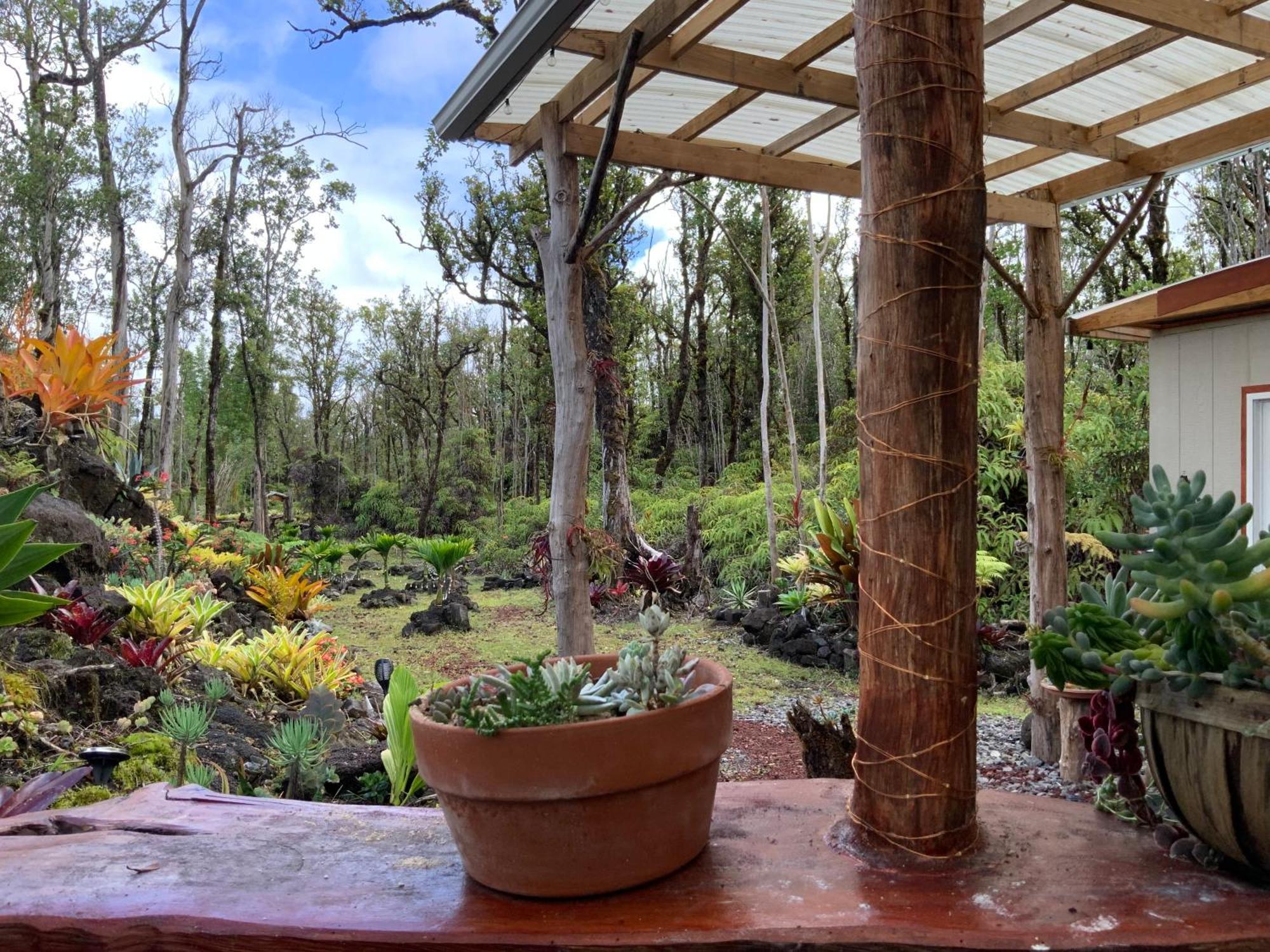 Exotic Garden Cottage At Amazing Volcano Fissure Mountain View エクステリア 写真