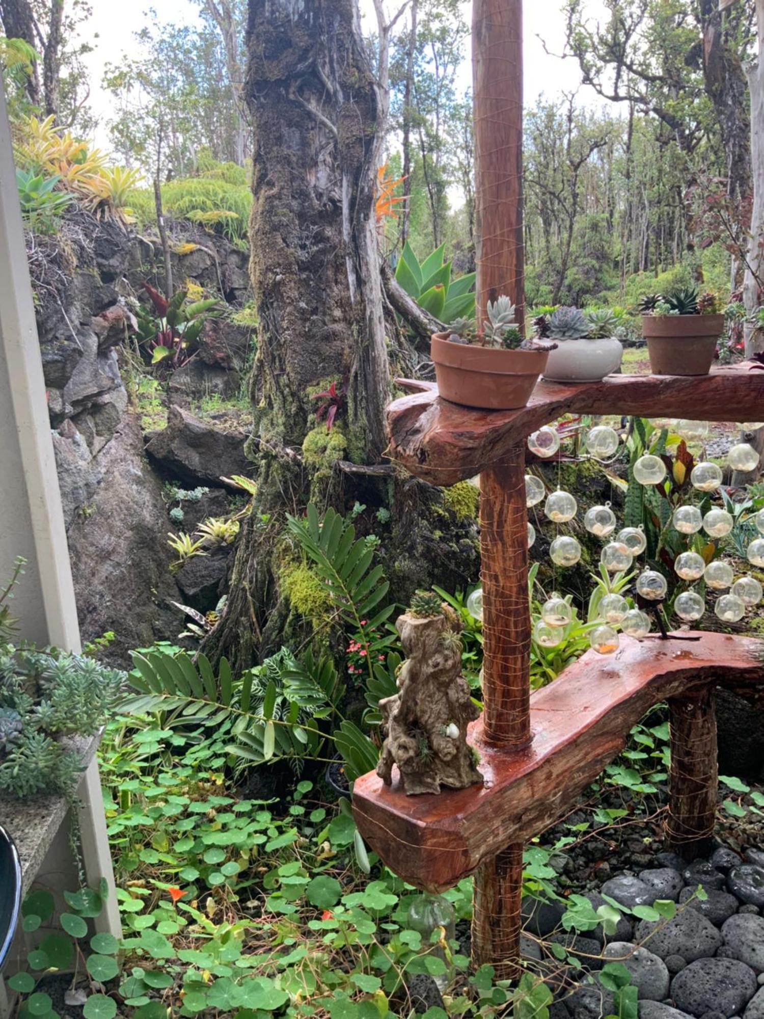Exotic Garden Cottage At Amazing Volcano Fissure Mountain View エクステリア 写真