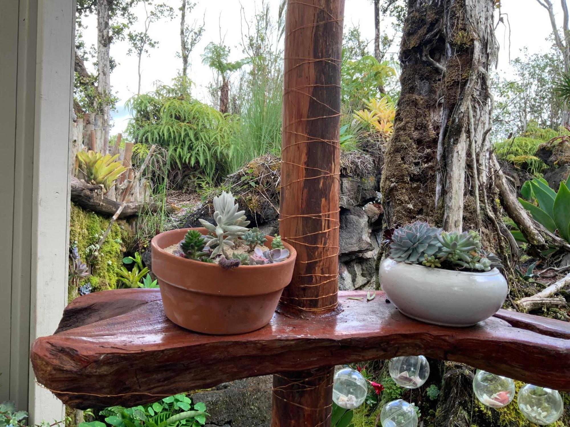 Exotic Garden Cottage At Amazing Volcano Fissure Mountain View エクステリア 写真
