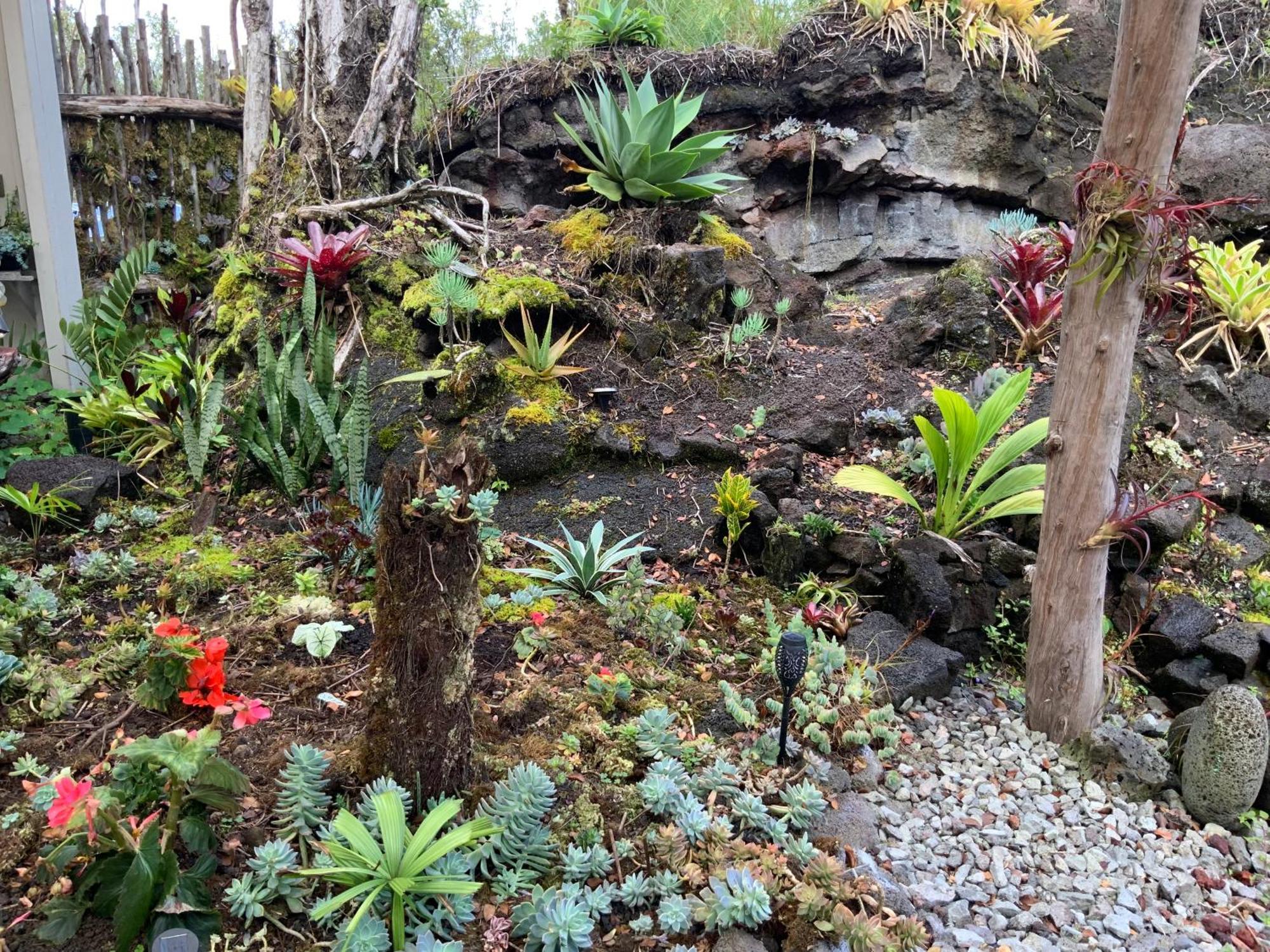 Exotic Garden Cottage At Amazing Volcano Fissure Mountain View エクステリア 写真