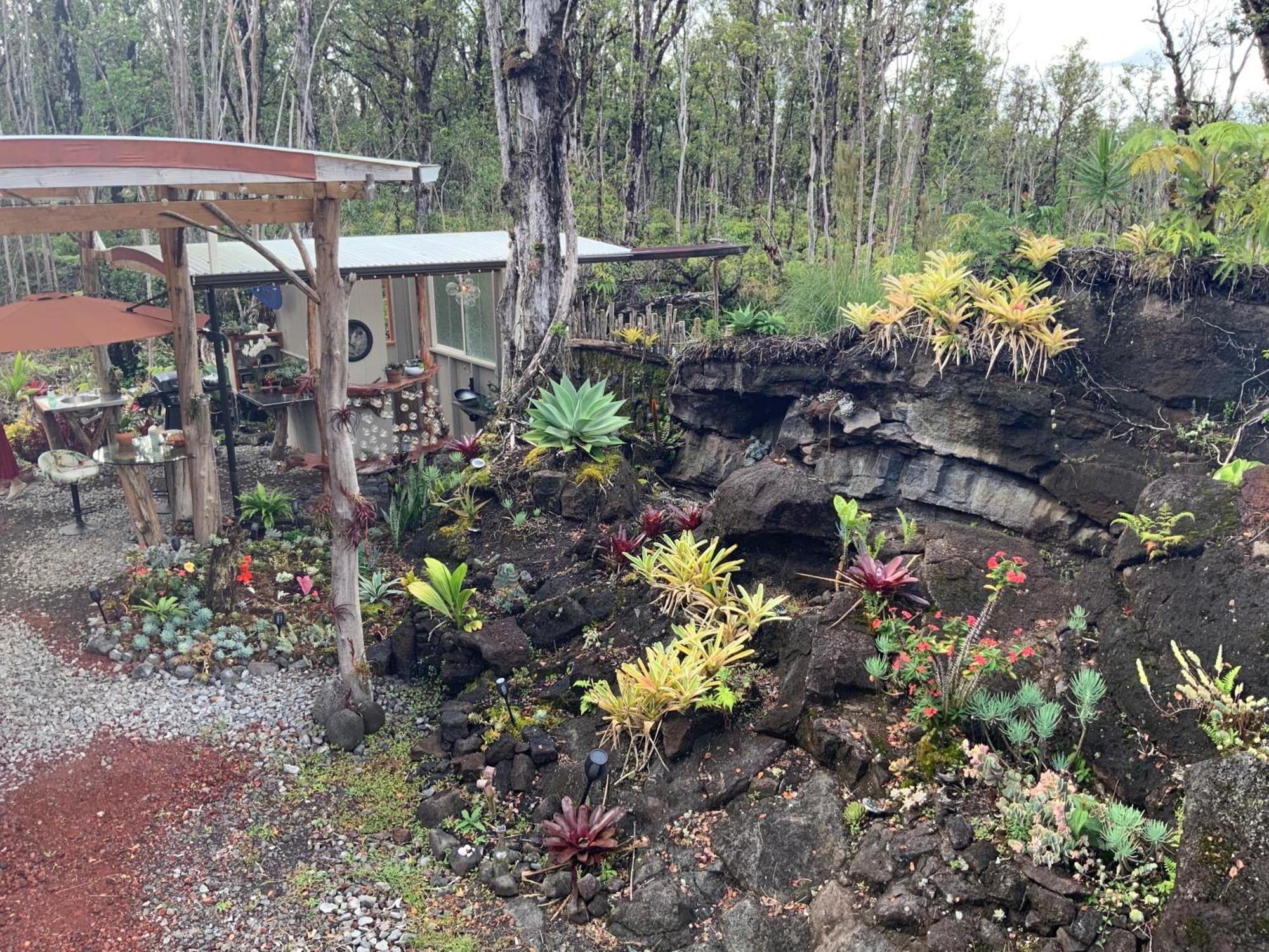 Exotic Garden Cottage At Amazing Volcano Fissure Mountain View エクステリア 写真