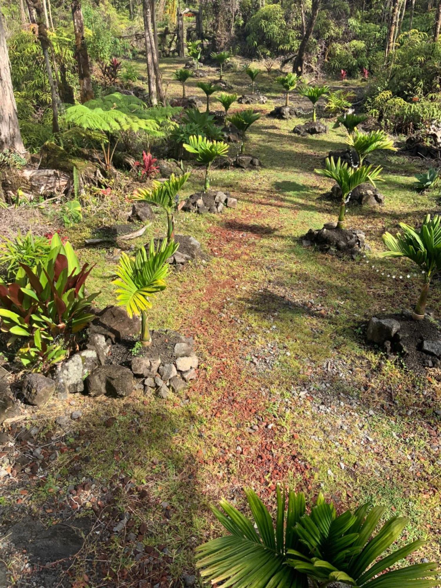 Exotic Garden Cottage At Amazing Volcano Fissure Mountain View エクステリア 写真