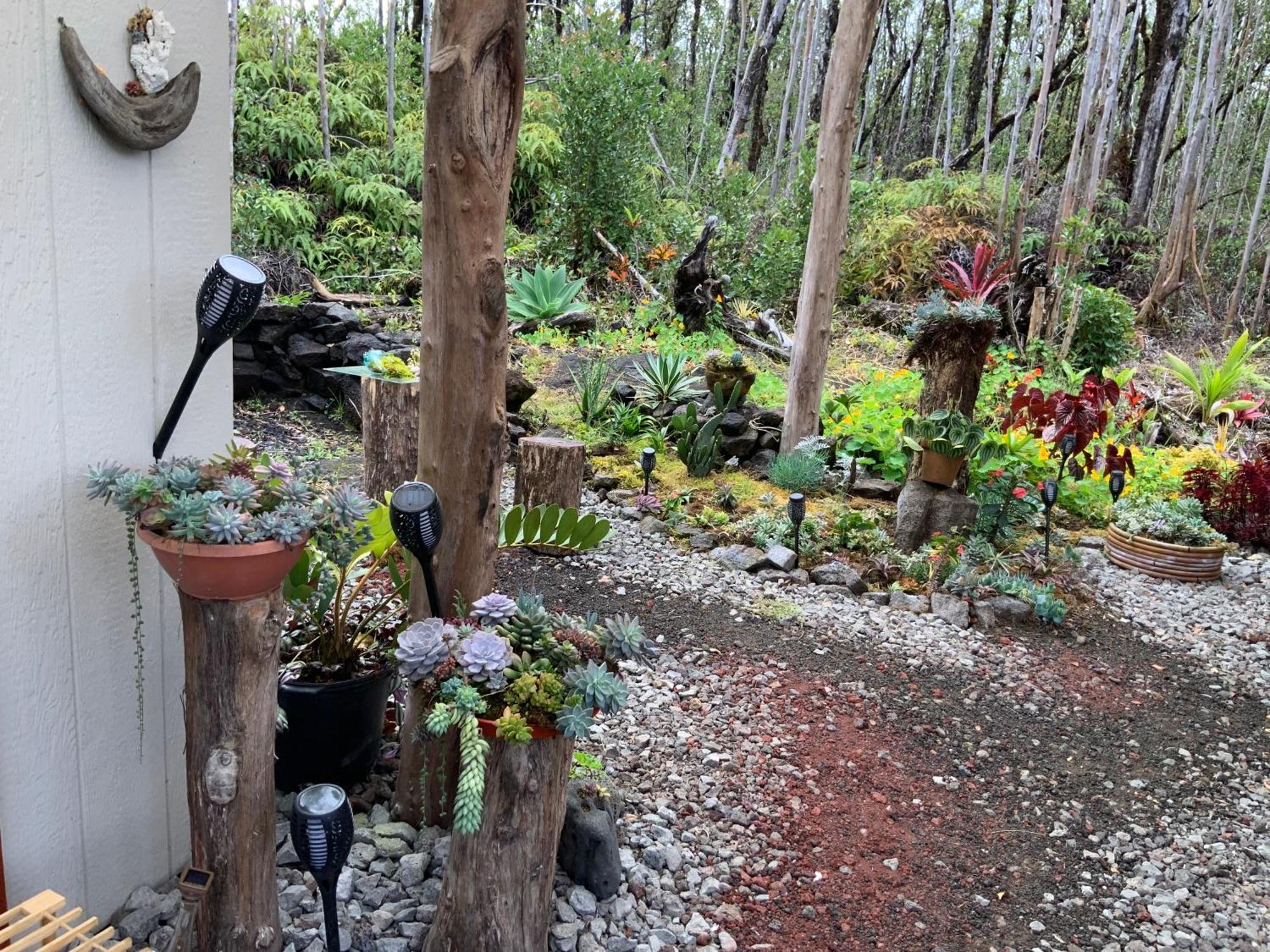 Exotic Garden Cottage At Amazing Volcano Fissure Mountain View エクステリア 写真