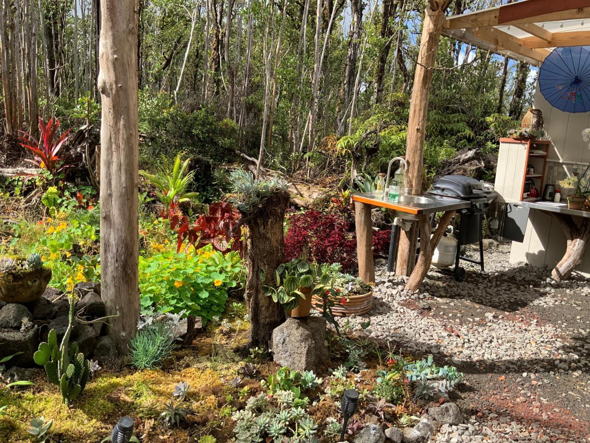 Exotic Garden Cottage At Amazing Volcano Fissure Mountain View エクステリア 写真