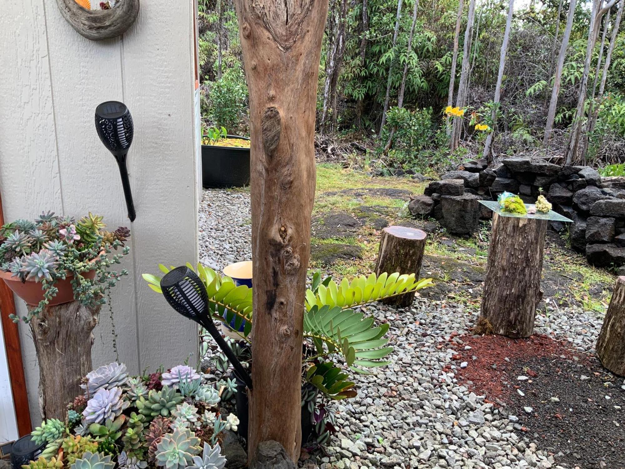 Exotic Garden Cottage At Amazing Volcano Fissure Mountain View エクステリア 写真