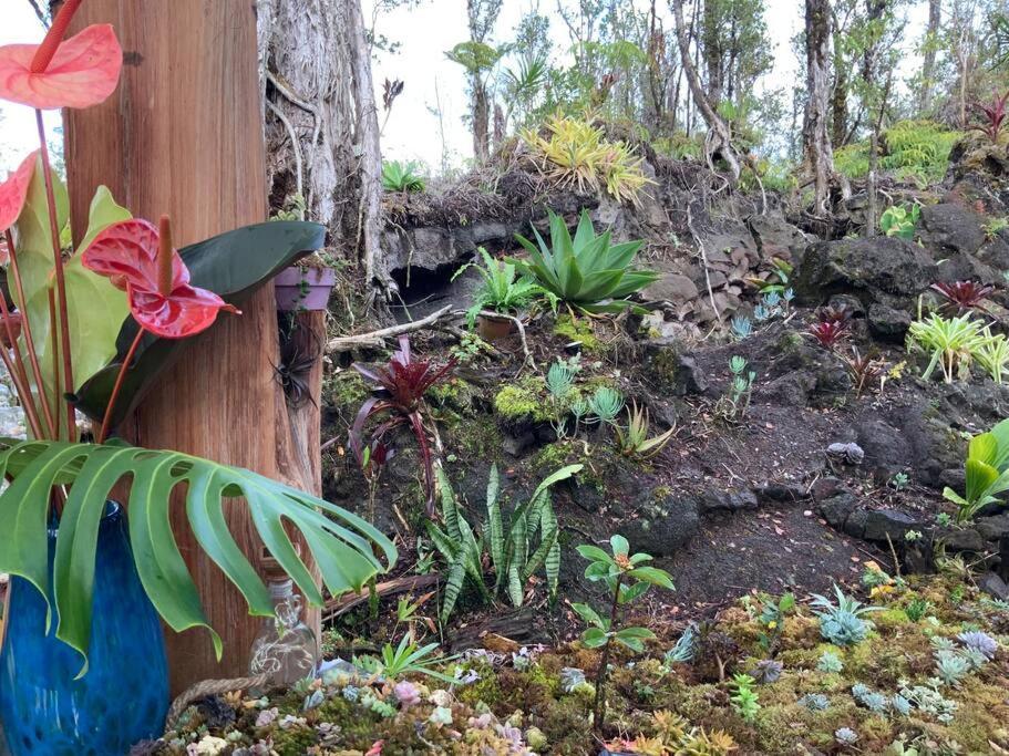 Exotic Garden Cottage At Amazing Volcano Fissure Mountain View エクステリア 写真