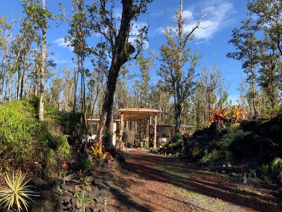 Exotic Garden Cottage At Amazing Volcano Fissure Mountain View エクステリア 写真