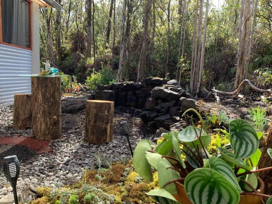 Exotic Garden Cottage At Amazing Volcano Fissure Mountain View エクステリア 写真
