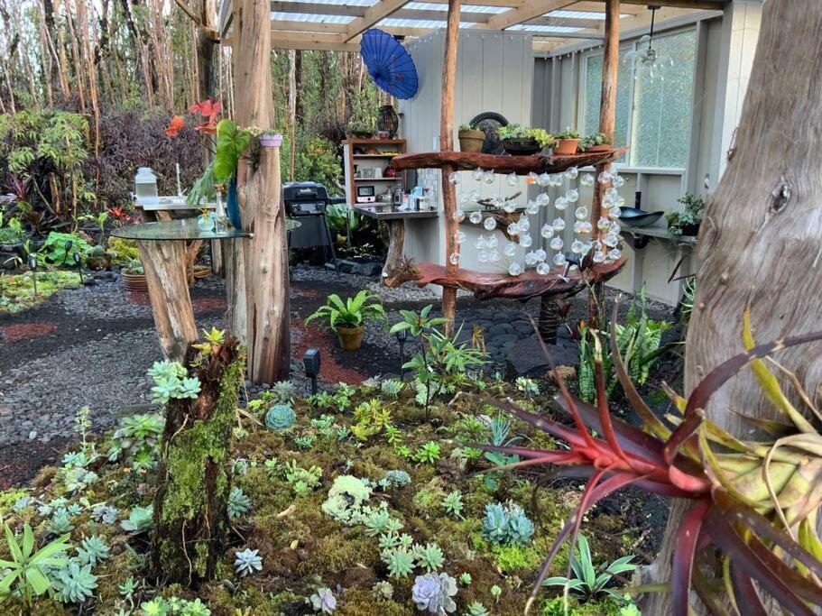 Exotic Garden Cottage At Amazing Volcano Fissure Mountain View エクステリア 写真