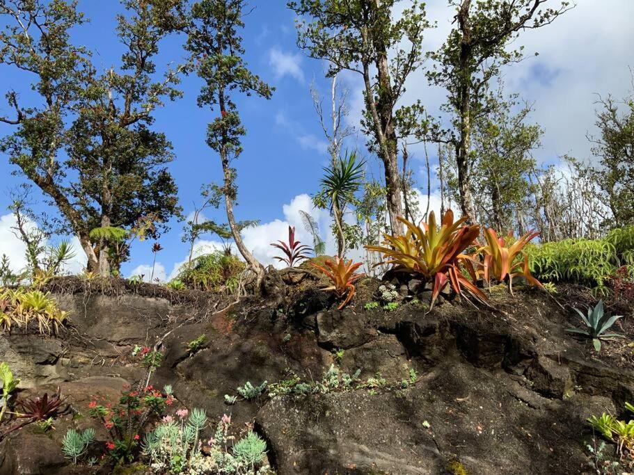 Exotic Garden Cottage At Amazing Volcano Fissure Mountain View エクステリア 写真