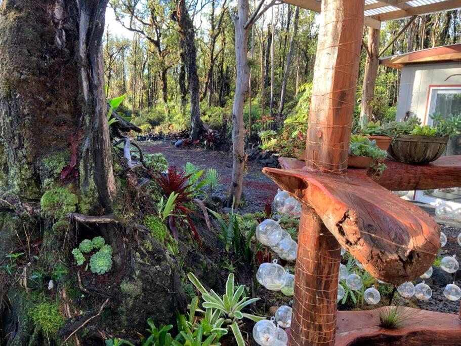 Exotic Garden Cottage At Amazing Volcano Fissure Mountain View エクステリア 写真