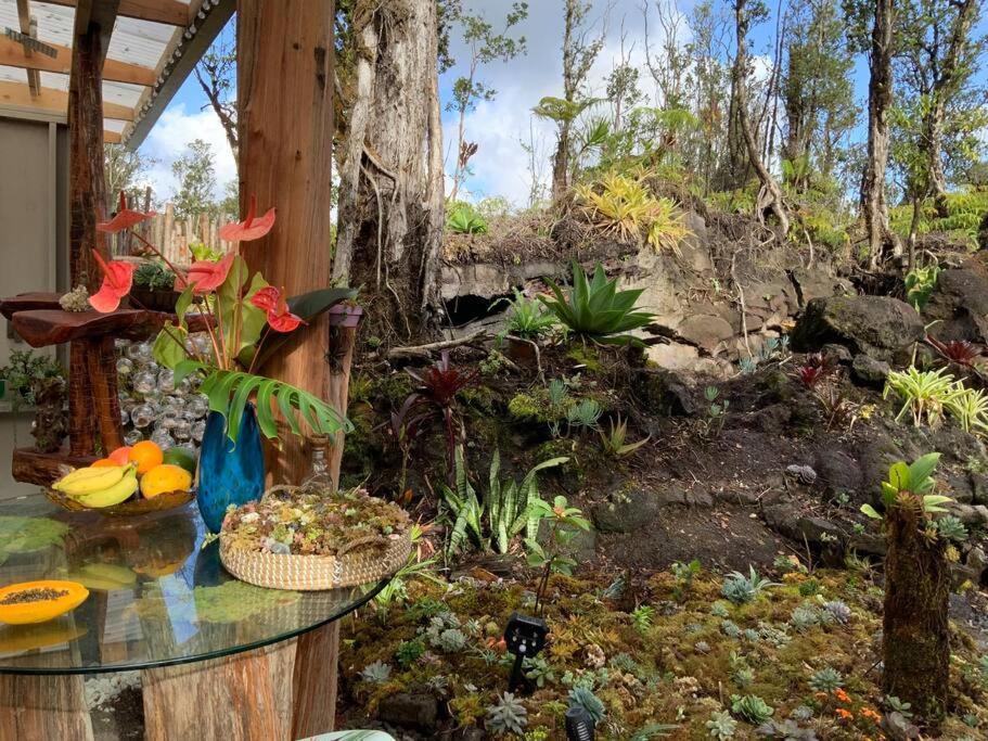 Exotic Garden Cottage At Amazing Volcano Fissure Mountain View エクステリア 写真