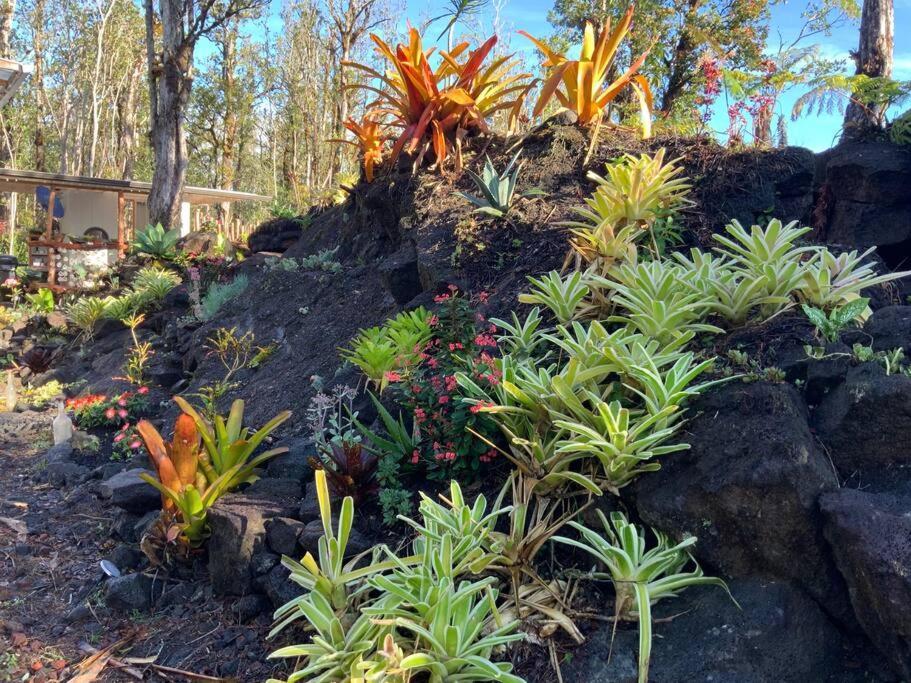 Exotic Garden Cottage At Amazing Volcano Fissure Mountain View エクステリア 写真