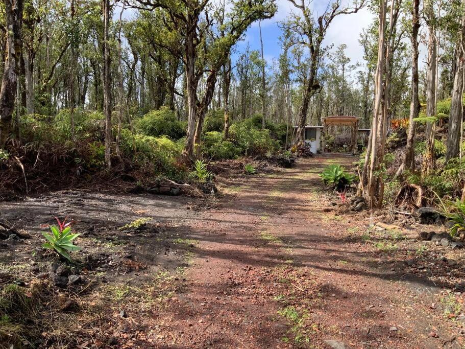 Exotic Garden Cottage At Amazing Volcano Fissure Mountain View エクステリア 写真